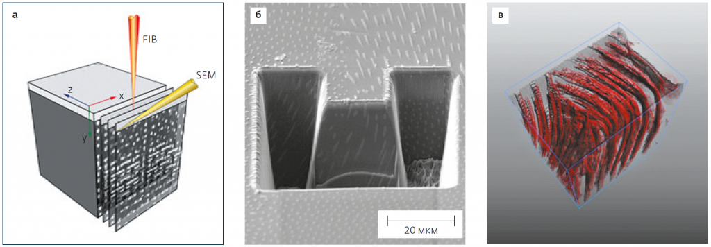 3D-томография с использованием FIB-SEM