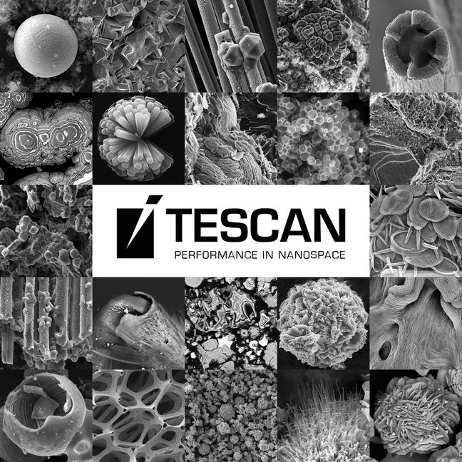 Итоги конкурса изображений "Доступное совершенство" 2018