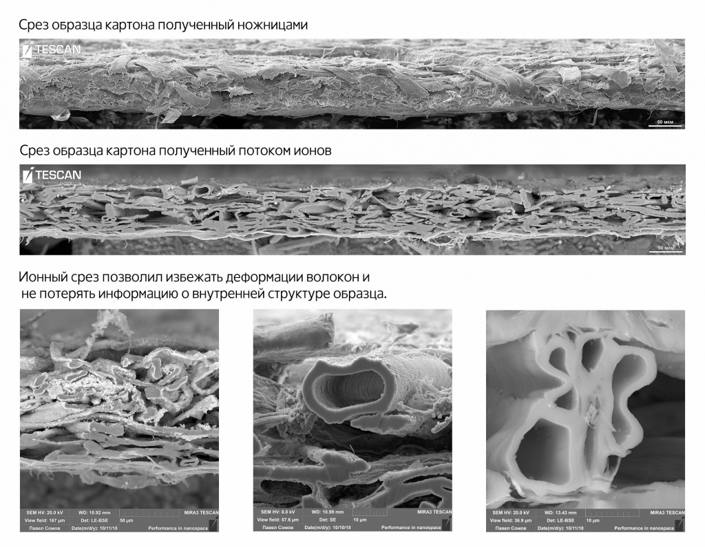 Срез картона