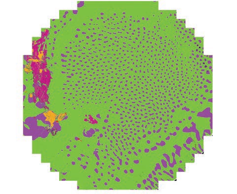 Структура распада твёрдого раствора, образованная флюоритом в карбонатите