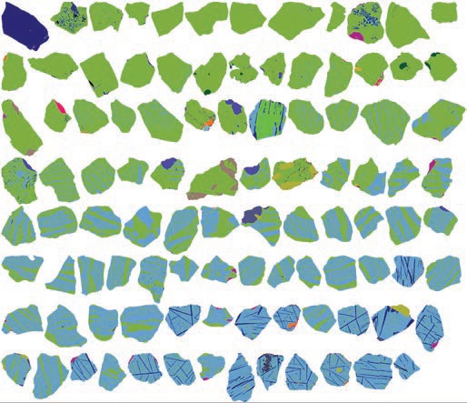 Частицы пробы россыпного месторождения, отсортированные по содержанию титана