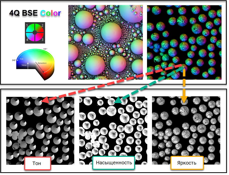 4Q-BSE детектор, режим работы COLOR