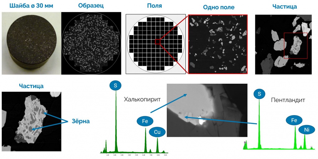 Алгоритм работы микроскопа TESCAN TIMA