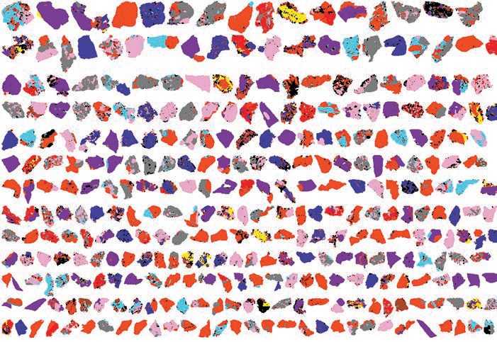 Частицы медно-цинкового концентрата, ранжированные по размеру